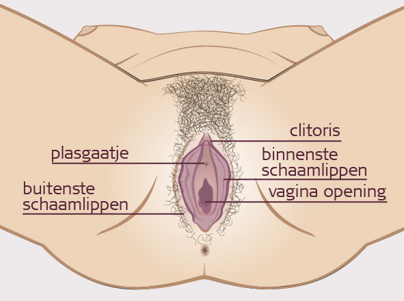 plasgaatje plasgaatje vrouw