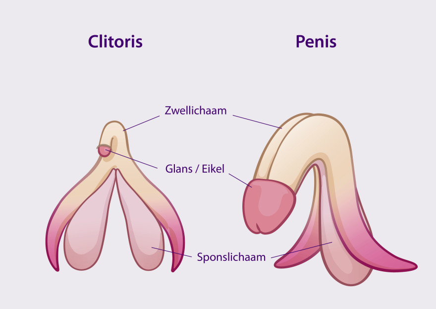 Men mushukimni stapler bilan tikdim