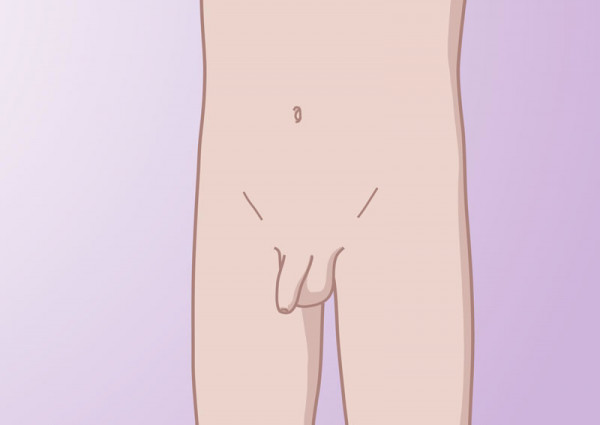 groei van de penis vanaf kindertijd groei van de penis vanaf kindertijd