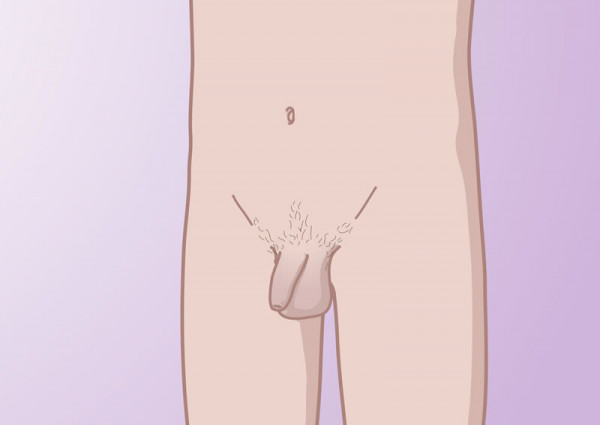 groei van de penis in puberteit groei van de penis in puberteit