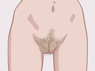 Vulva met schaamhaar